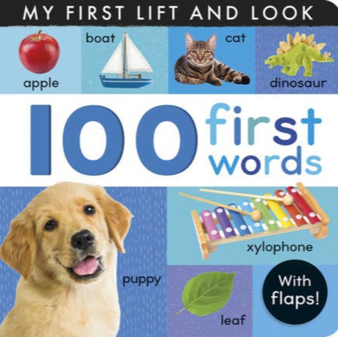 board book with 100 first words and images to match