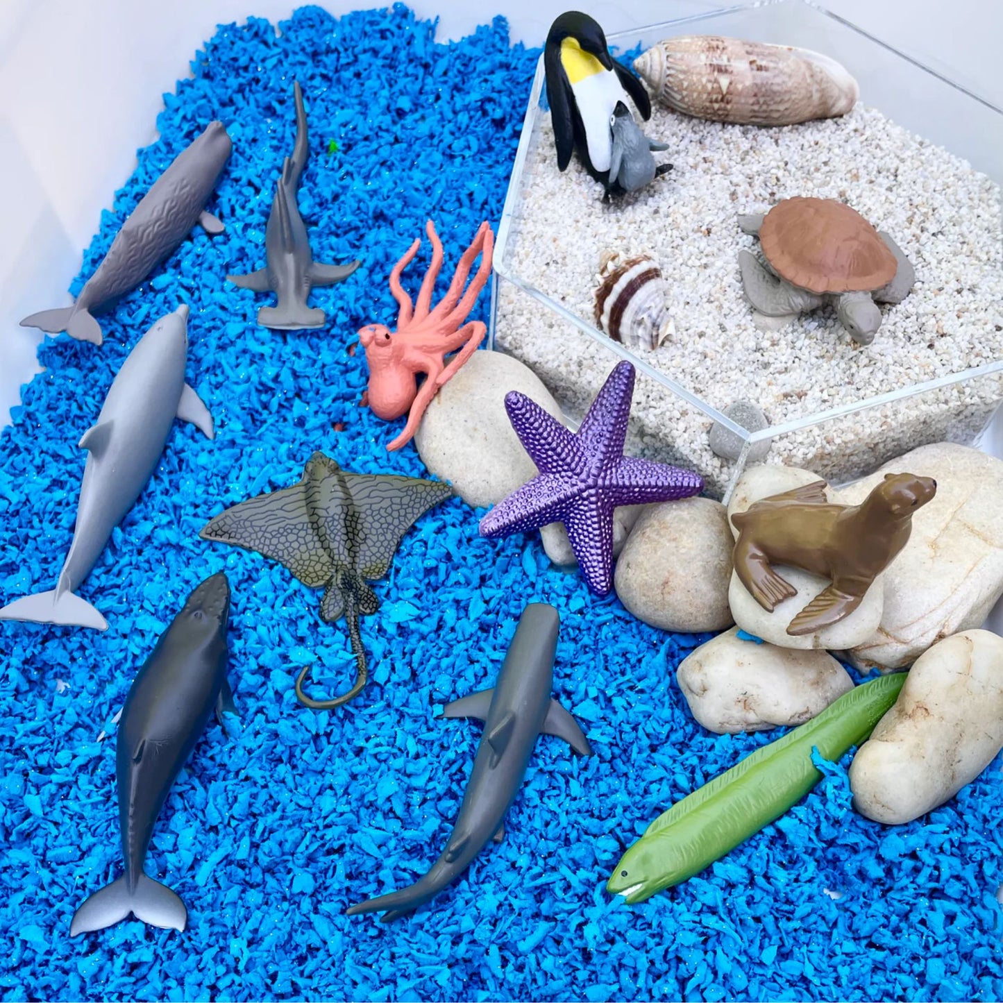 Safari Ltd. Ocean TOOB® - 12 Piece Miniature Sea Life Figurine Set