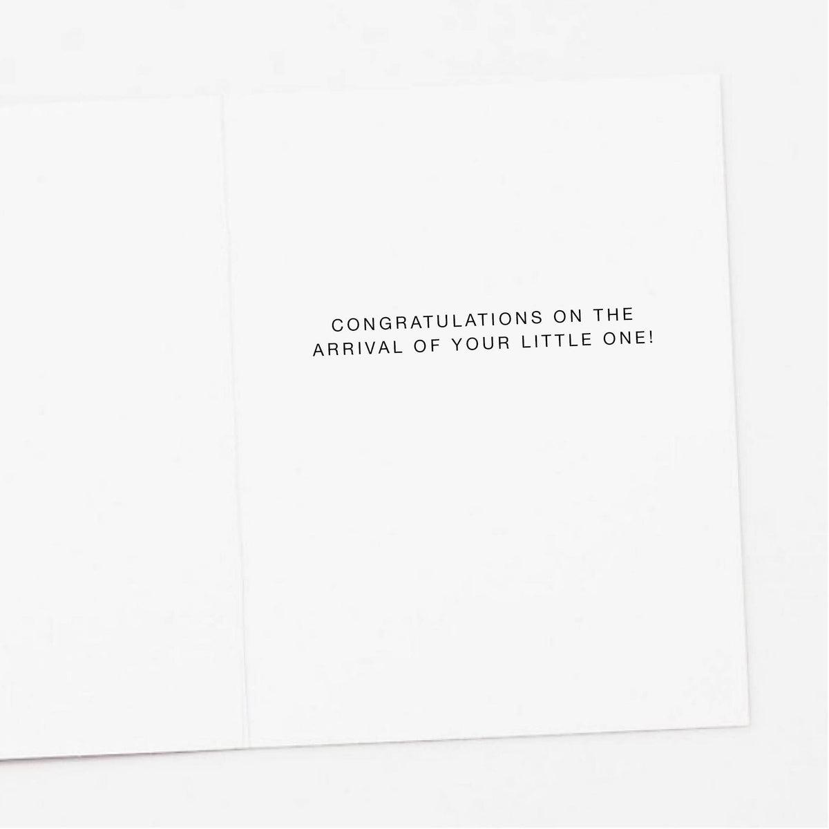 Apartment 2 Cards - Stuffed Baby Animals New Baby Greeting Card
