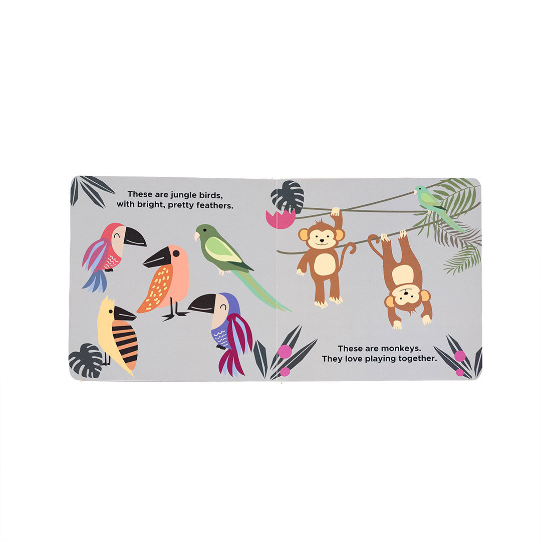 Lucy's Room Zoo Friends Board Book
