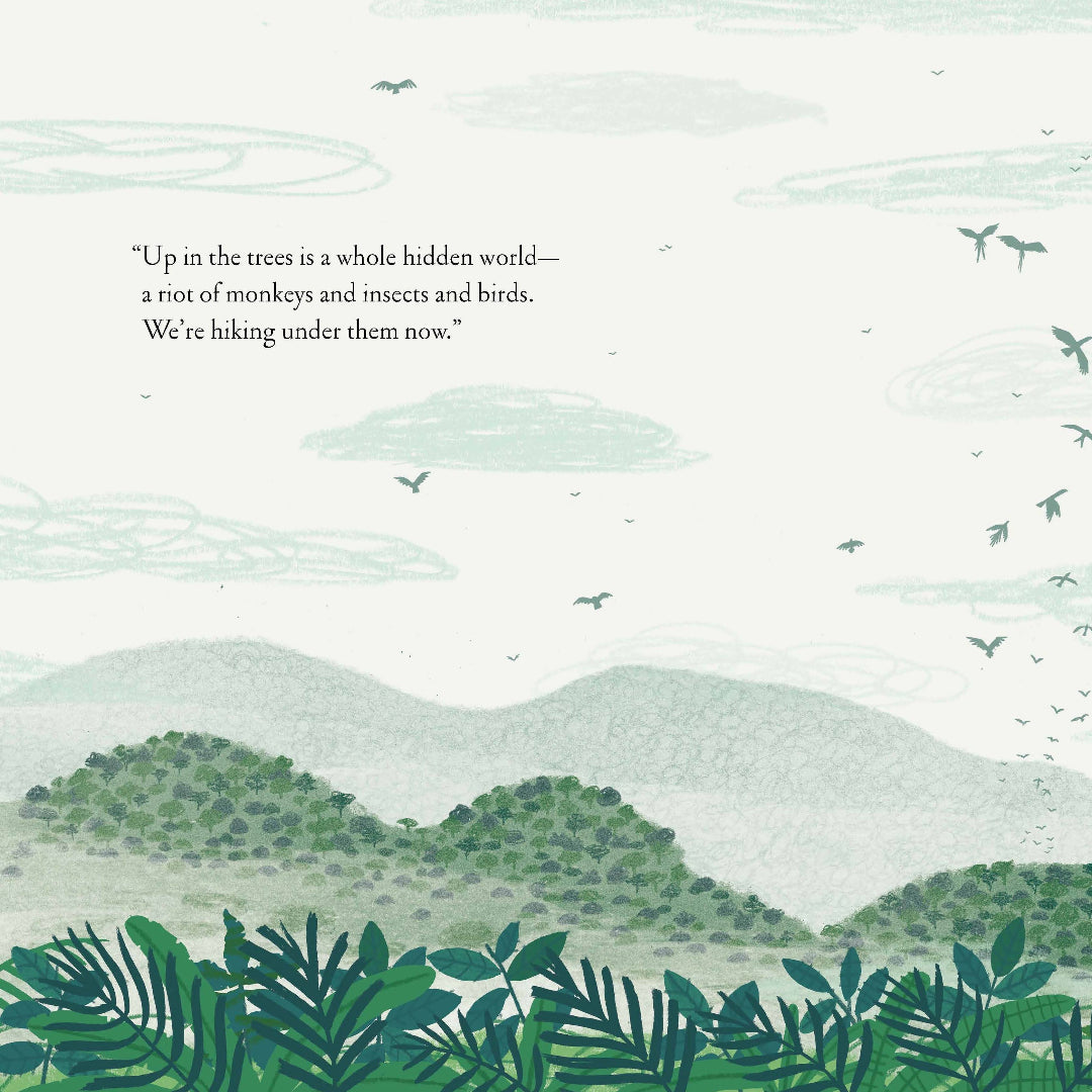 Illustration of a forest scene with birds flying and text about a hidden world above.