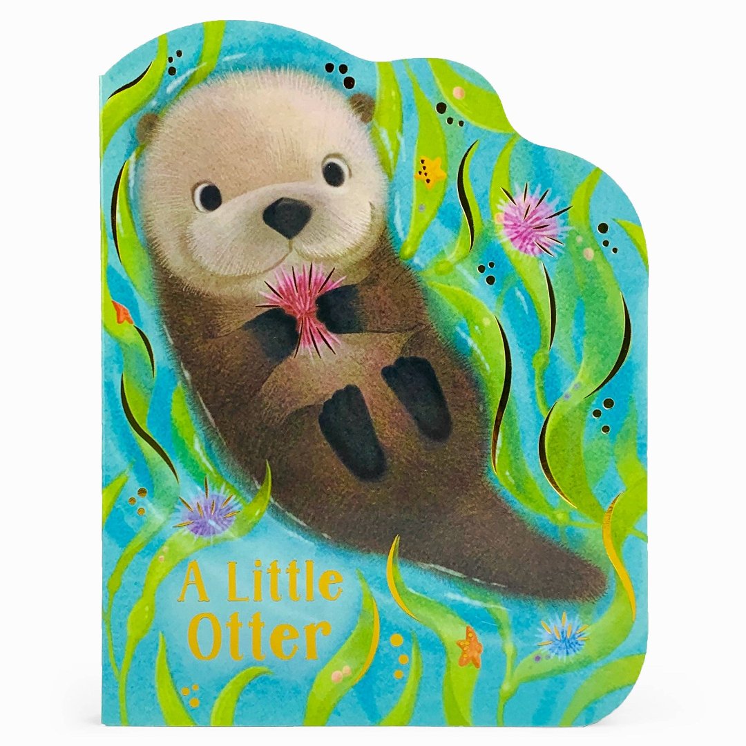 green and blue hardcover book with an otter on the front