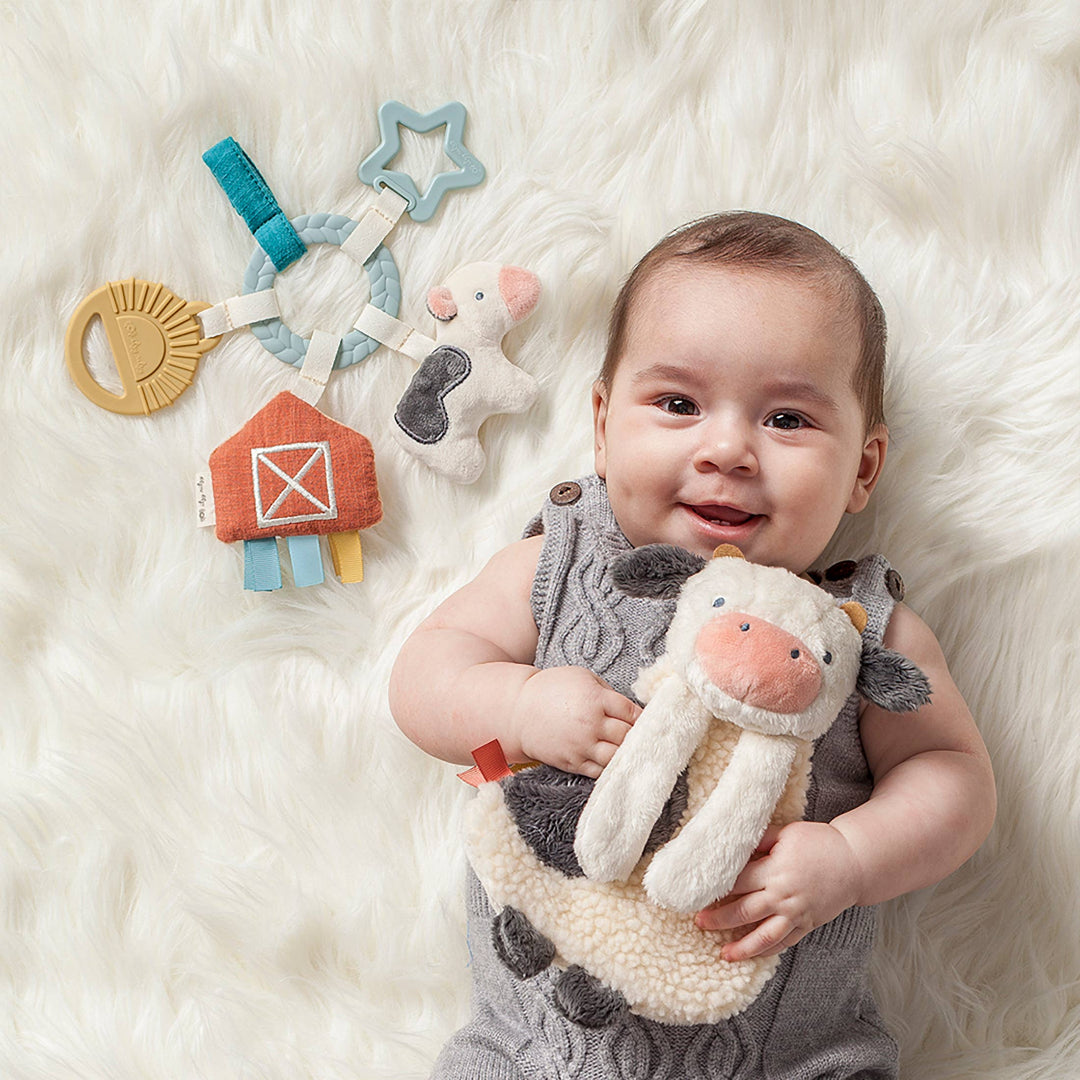 gift set of 2 baby teether toys