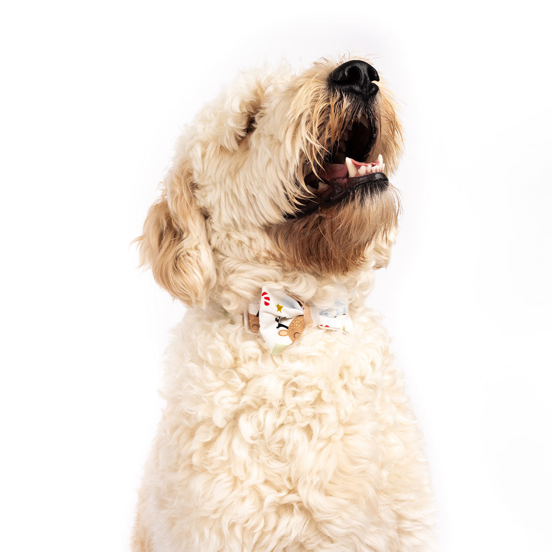 Santa and Friends Bamboo Pet Bow Tie