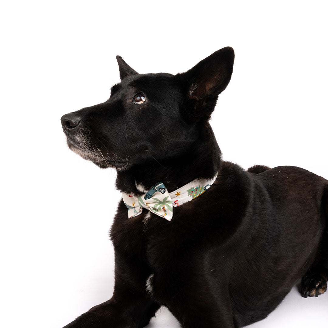 Coastal Christmas Bamboo Pet Bow Tie