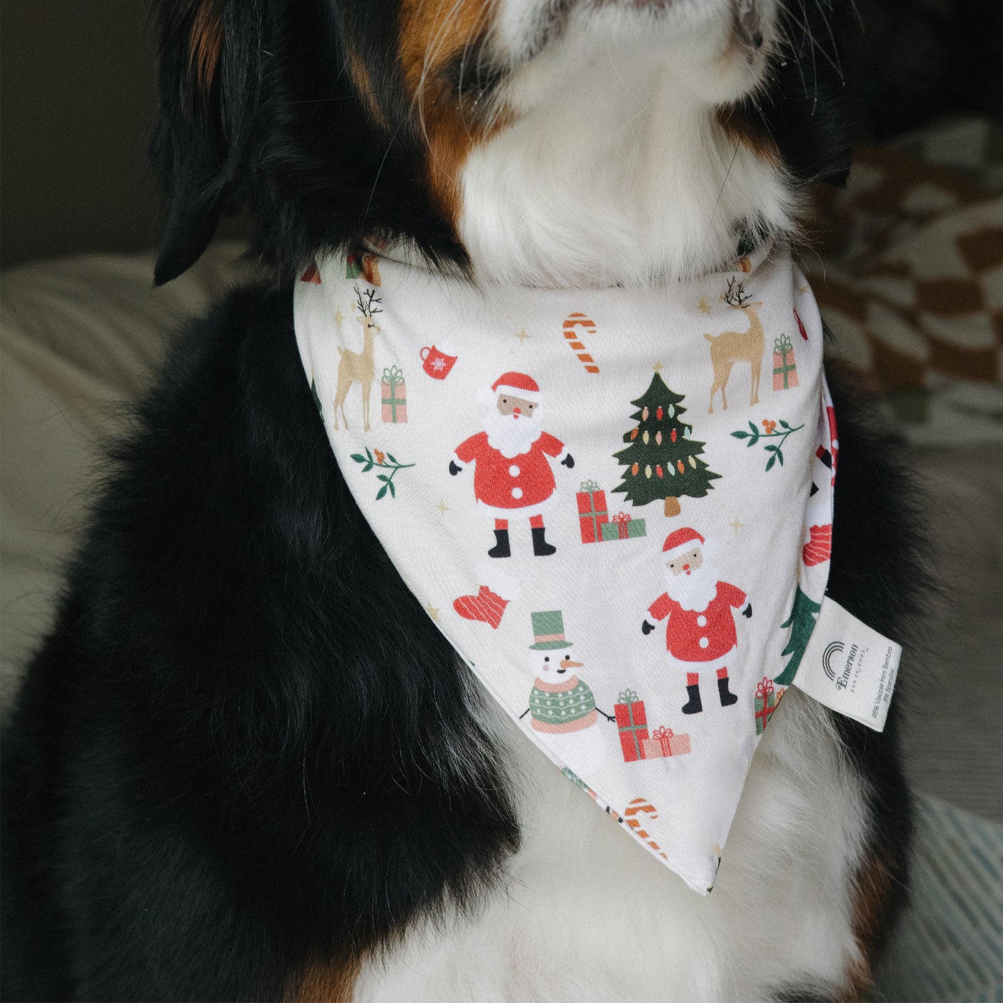 Close-up of dog sitting indoors wearing Cozy Christmas bamboo pet bandana, highlighting the soft bamboo fabric and cute design.