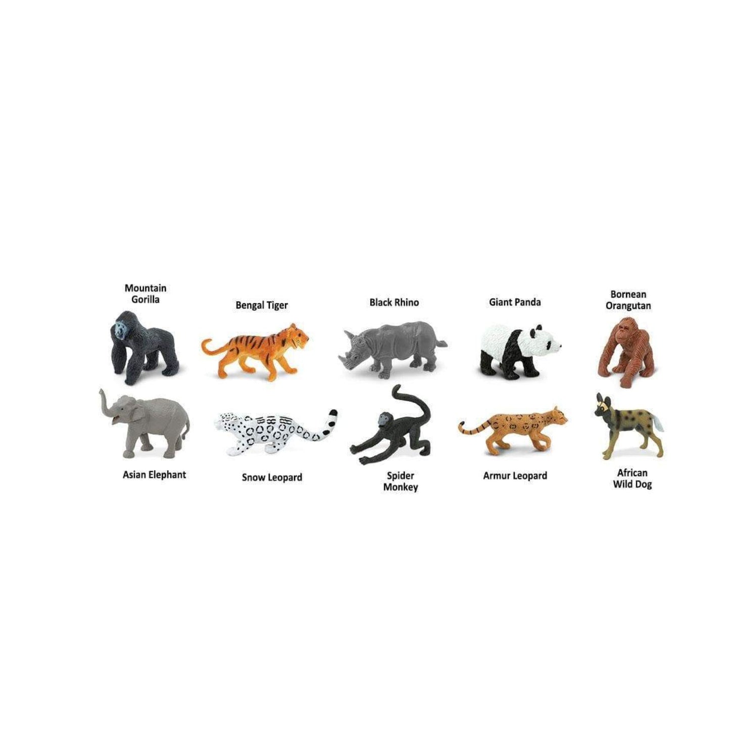 Collection of animal figurines with labels on a white background