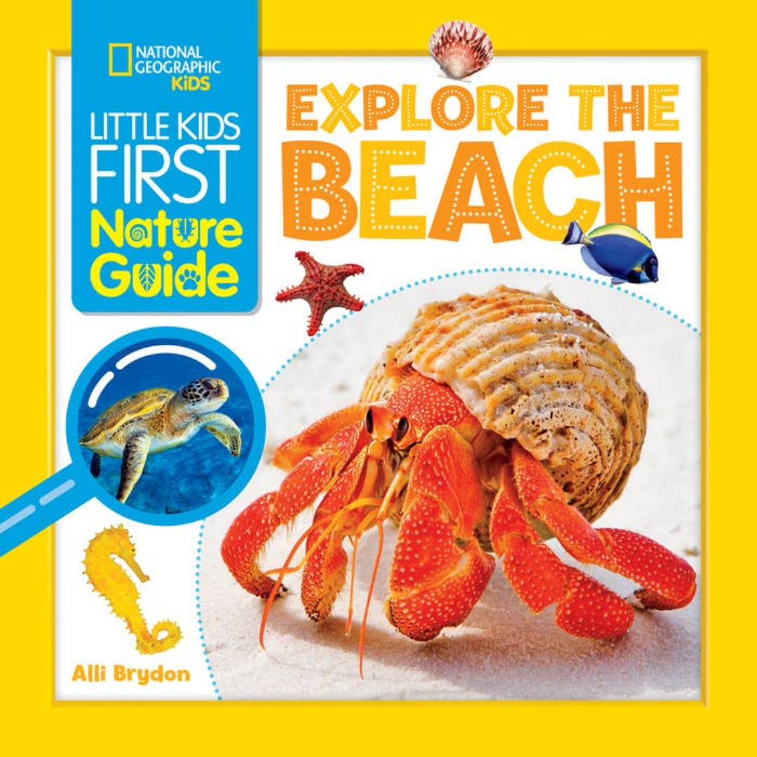 a book about the beach with a hermit crab, sea turtle, starfish, seahorse, and fish on the cover