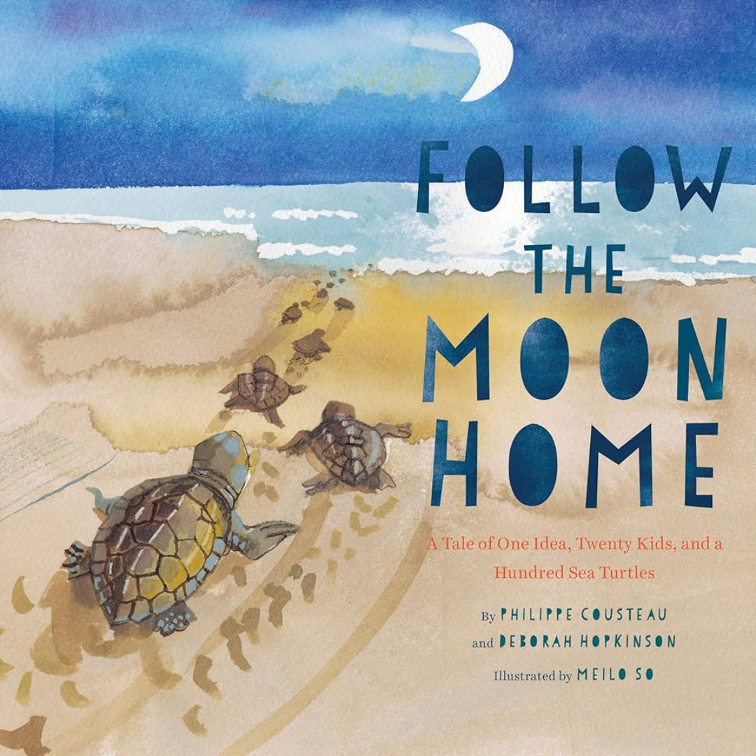 several baby sea turtles following the moons light to the ocean
