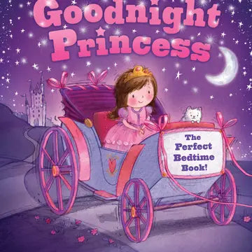 purple book with a little girl in a carriage wearing a princess gown and there is a castle in the background