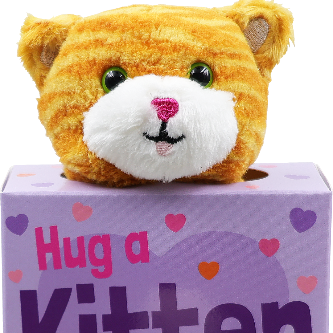 stuffed kitten toy inside a box with a kitten huggers guide included