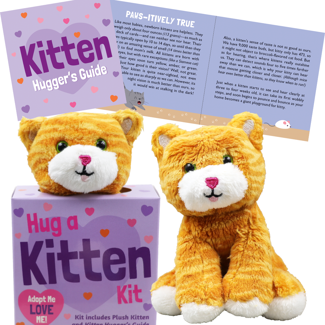 picture showing the kitten in the box how it comes, and also shows what the stuffed kitten looks like outside of the box