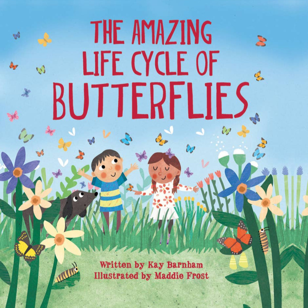 a book about the amazing life cycle of butterflies