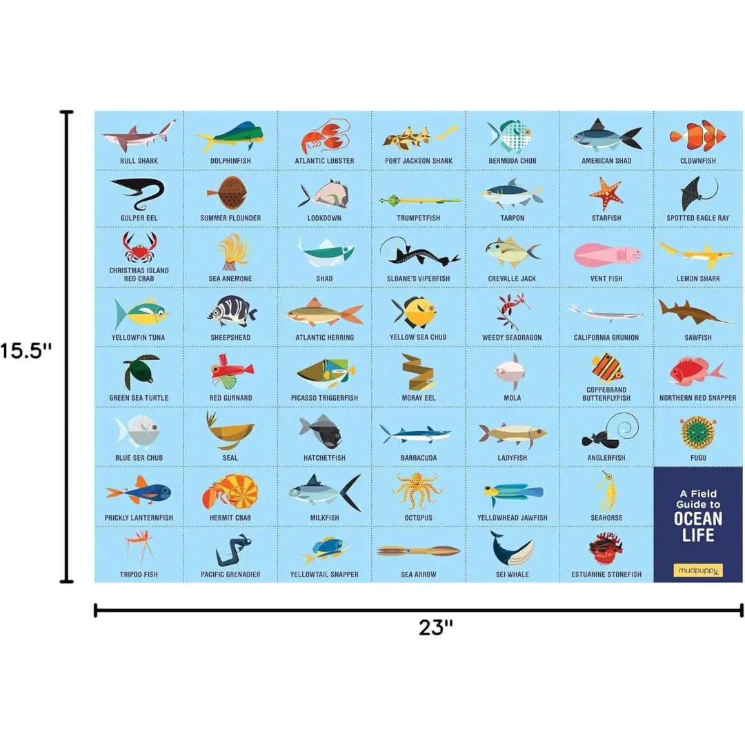 Ocean Life Search & Find Puzzle