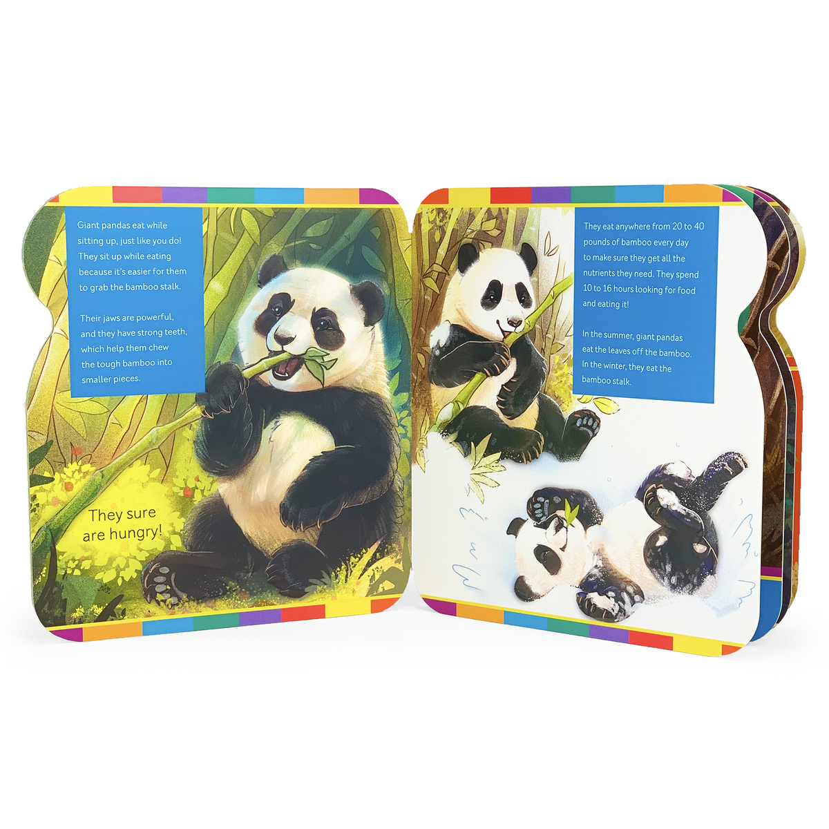 Open book showing illustrations of pandas eating bamboo with colorful borders.