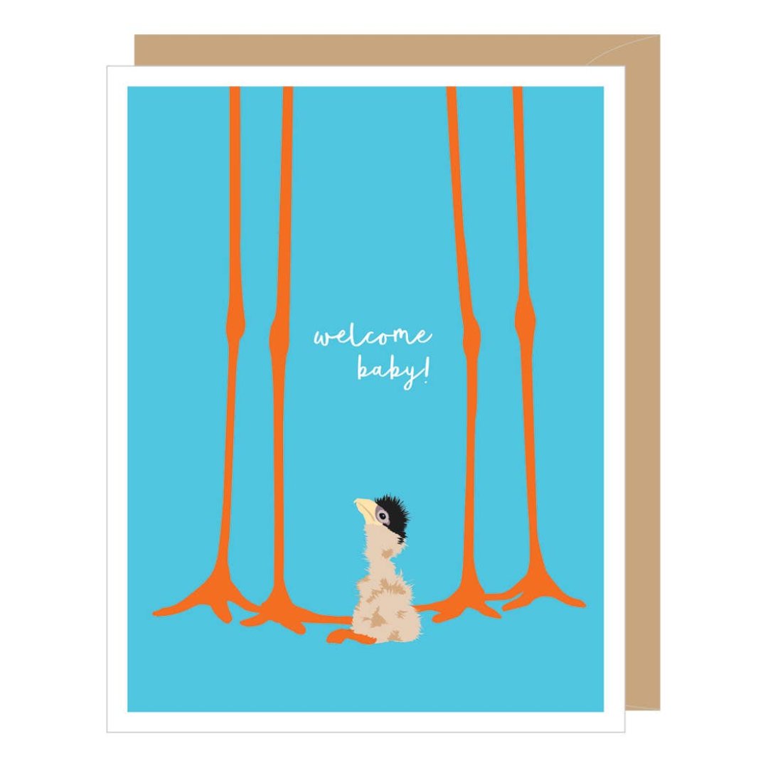 baby stork new baby card blue backround