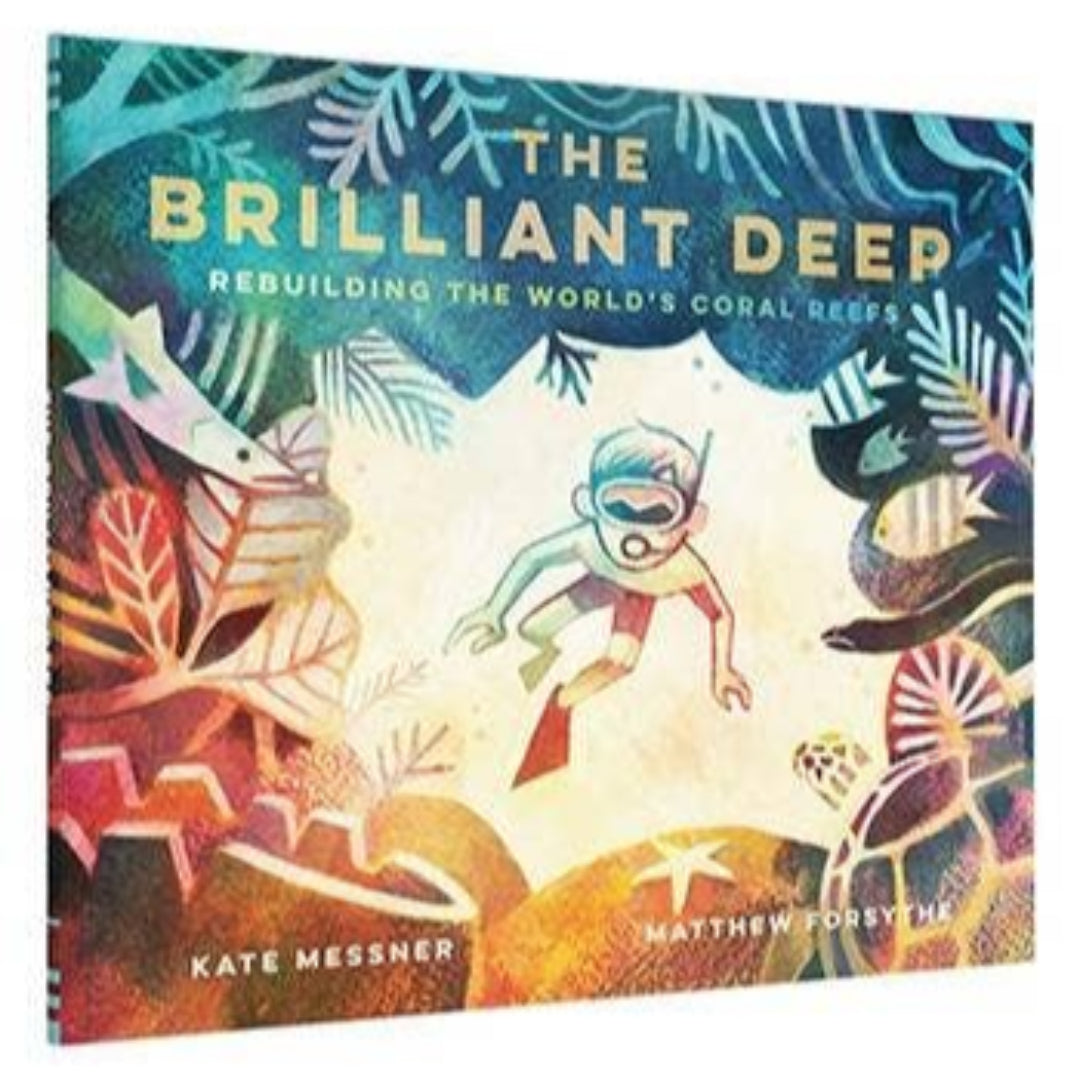 a hardcover book called the brilliant deep and the cover has a boy snorkeling in the coral reef