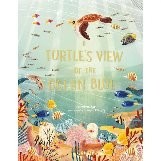 ocean themed book with a sea turtle swimming in a coral reef on the cover