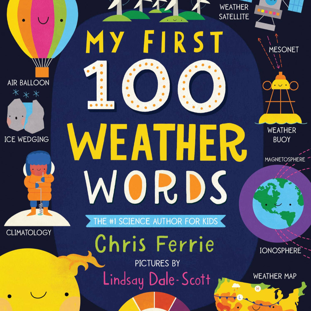 a book called my first 100 weather words