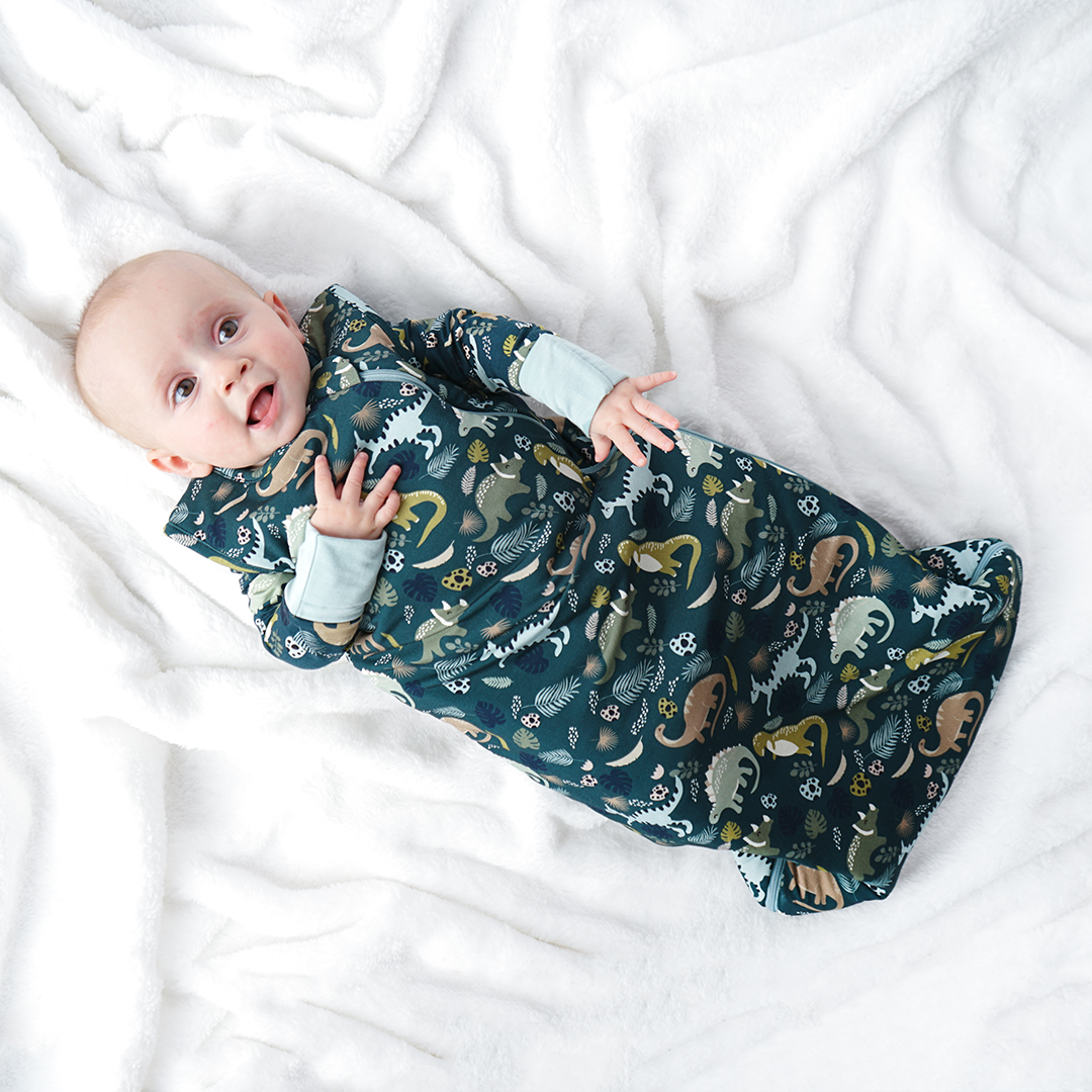 Dino Sleep bag