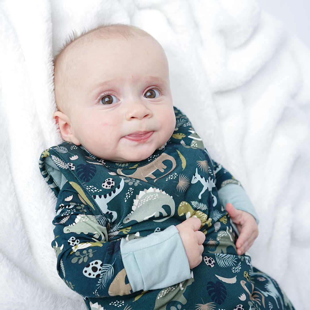 Dino Sleep bag