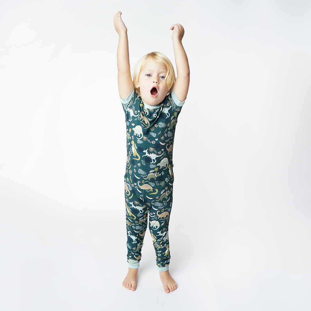 Prehistoric Friends Dinosaur Two-Piece Bamboo Short Sleeve Kids Pajama Pants Set