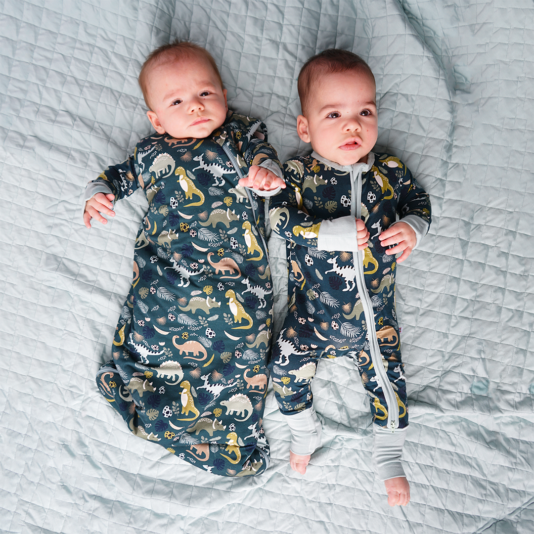 Dino Sleep bag