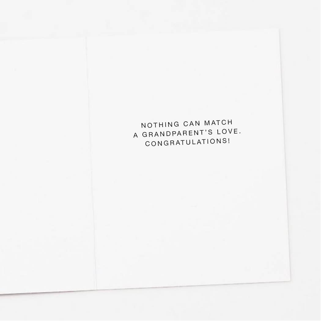 Apartment 2 Cards - Teddy Bear New Grandparent Congratulations Card