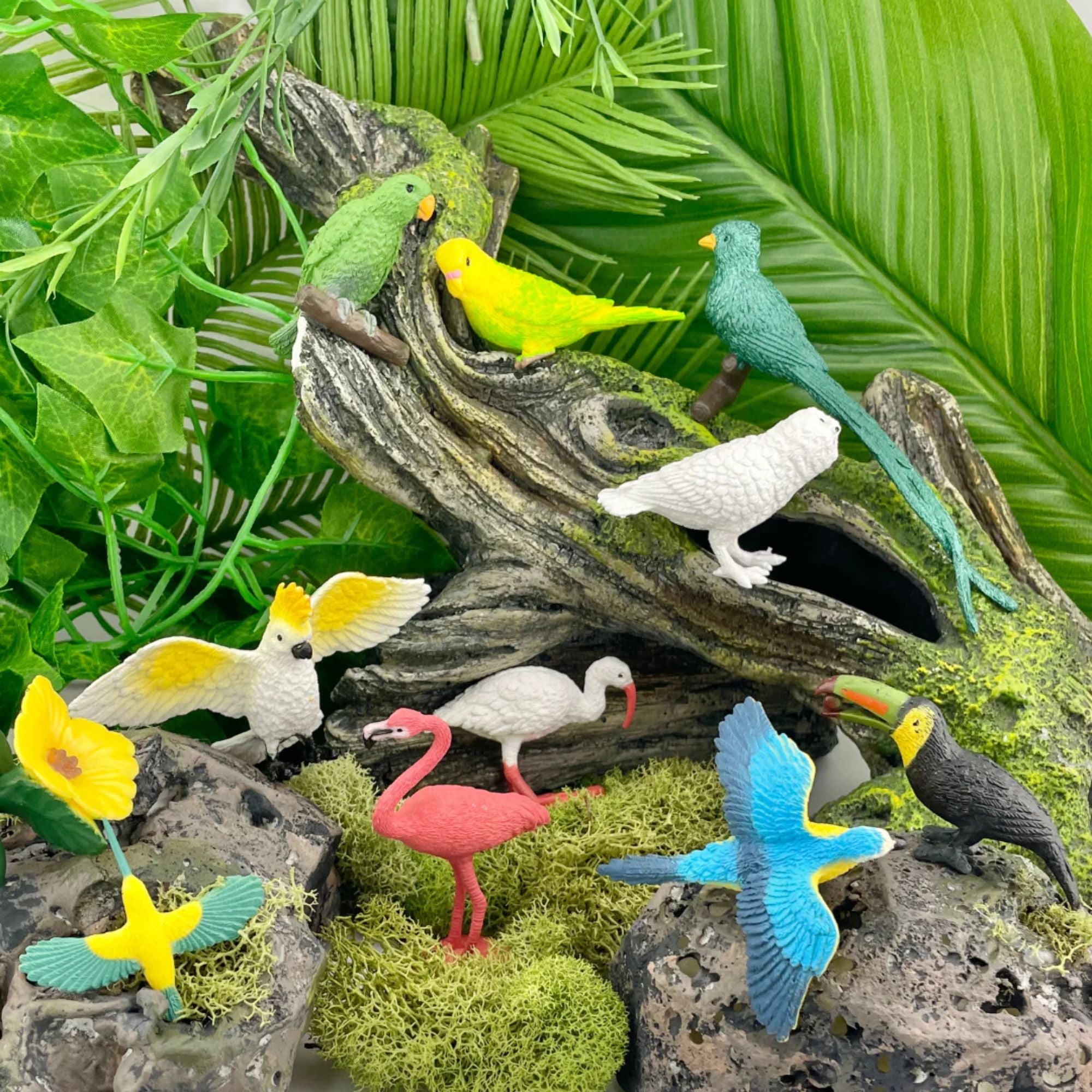 Exotic Birds TOOB® - 11 Piece Tropical Bird Figurine Set Safari