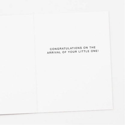 Apartment 2 Cards - Stuffed Baby Animals New Baby Greeting Card