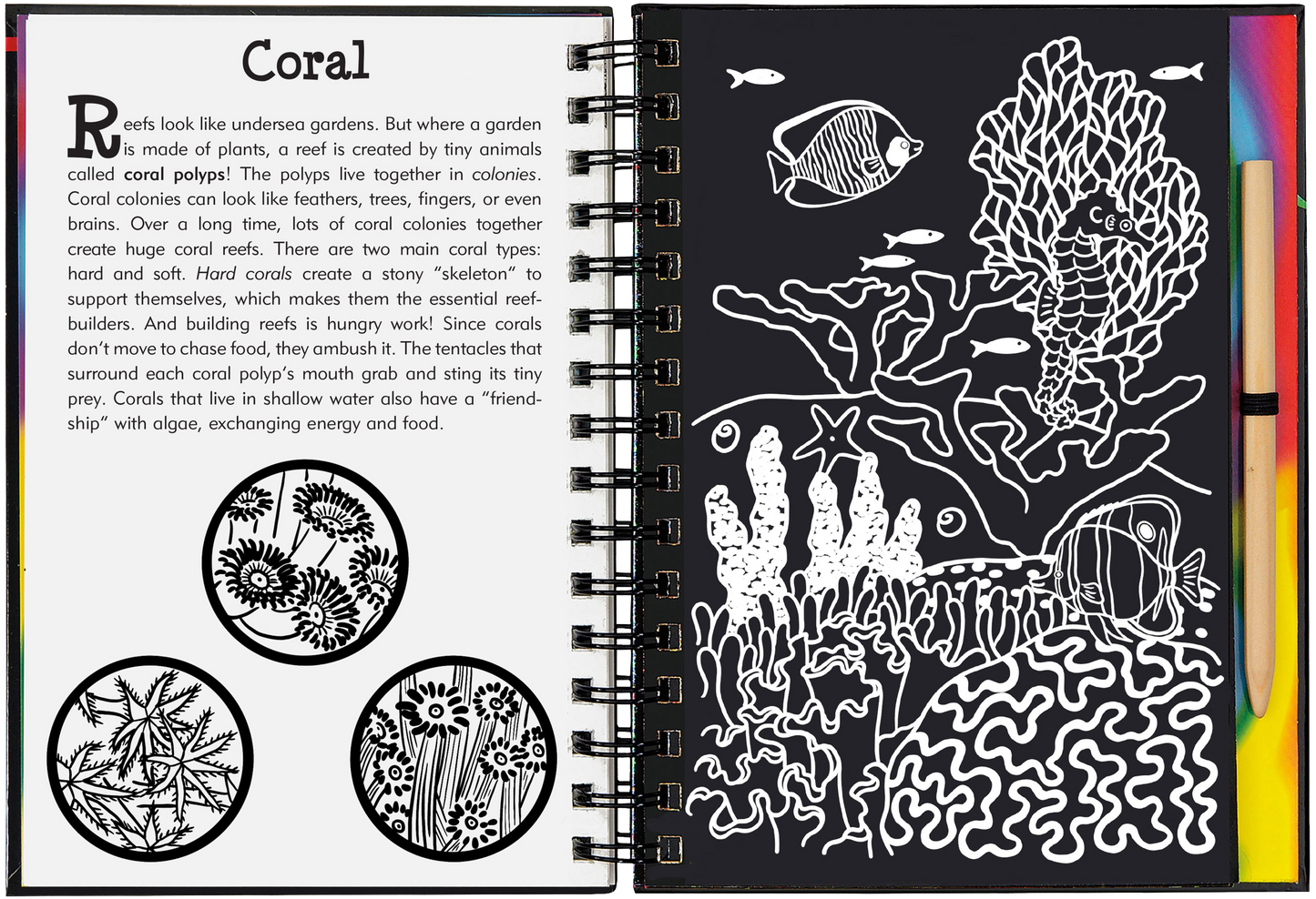 Peter Pauper Press - Coral Reefs Scratch and Sketch