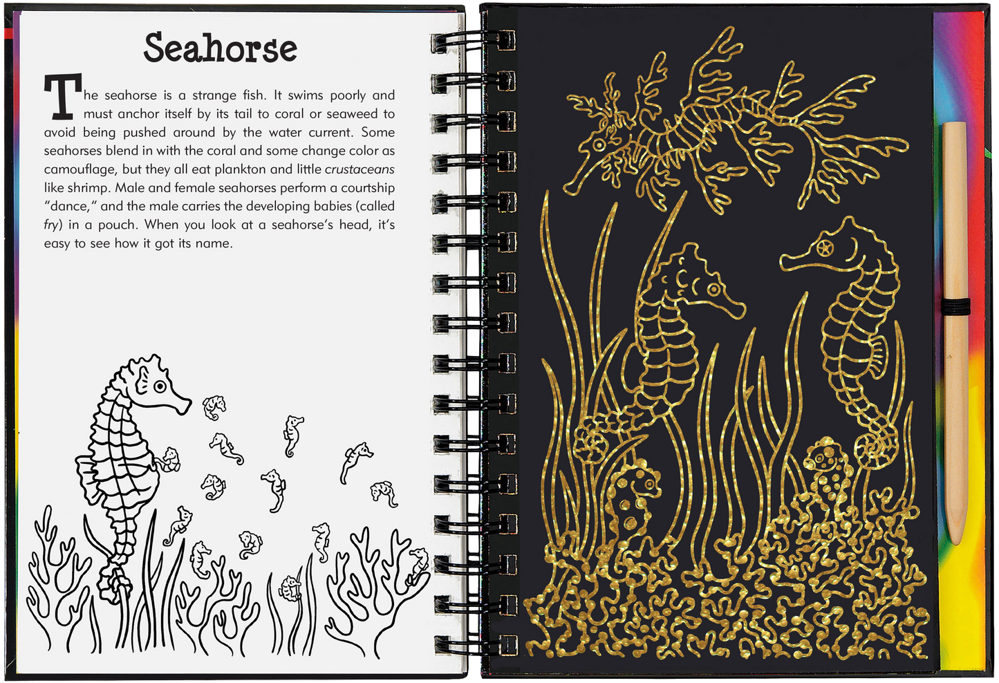 Peter Pauper Press - Coral Reefs Scratch and Sketch
