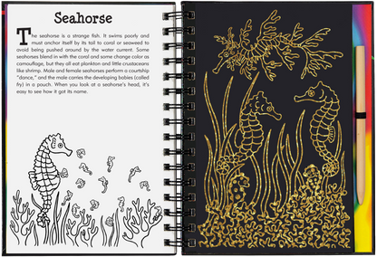 Peter Pauper Press - Coral Reefs Scratch and Sketch