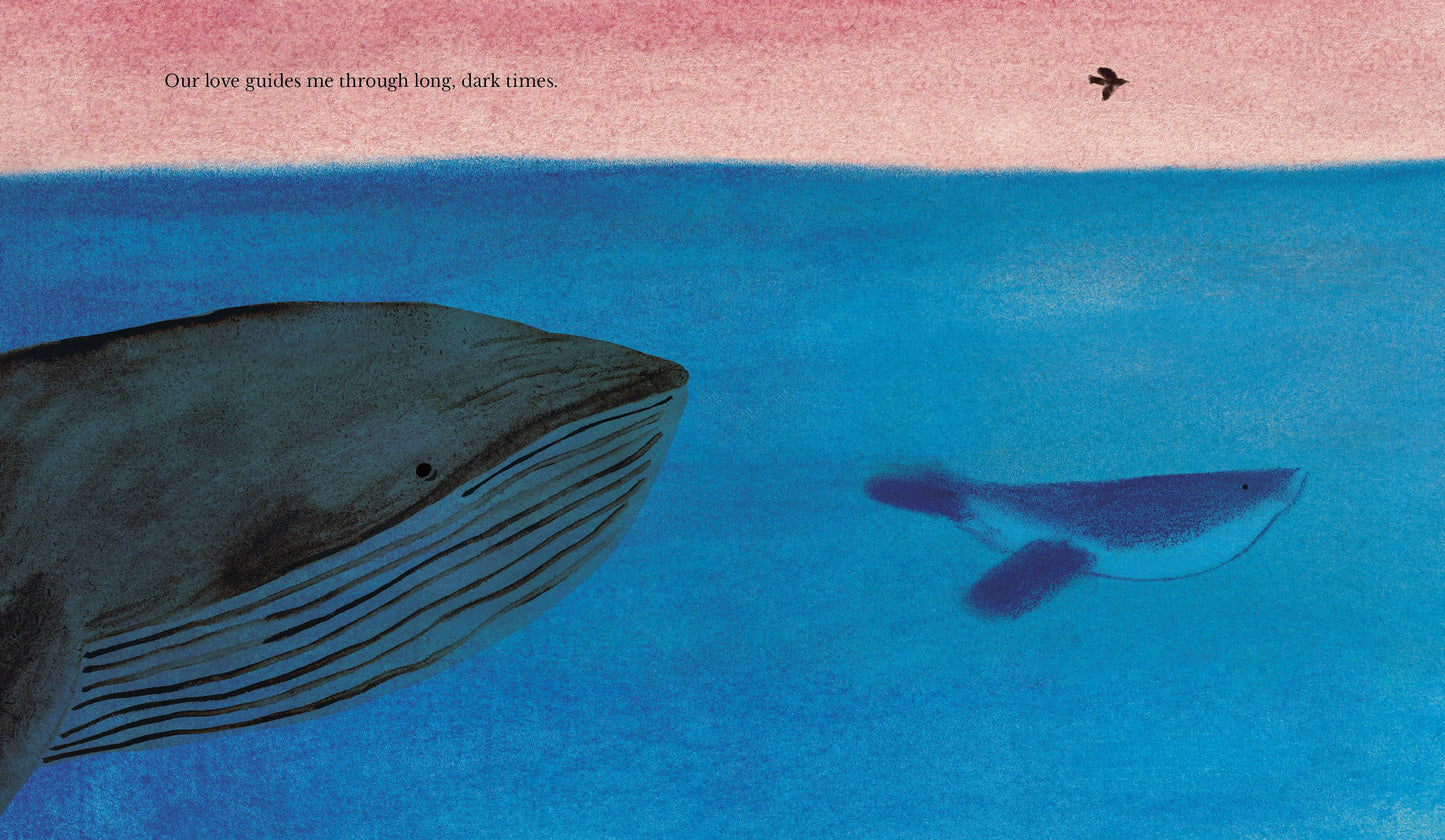 Chronicle Books - Our Love