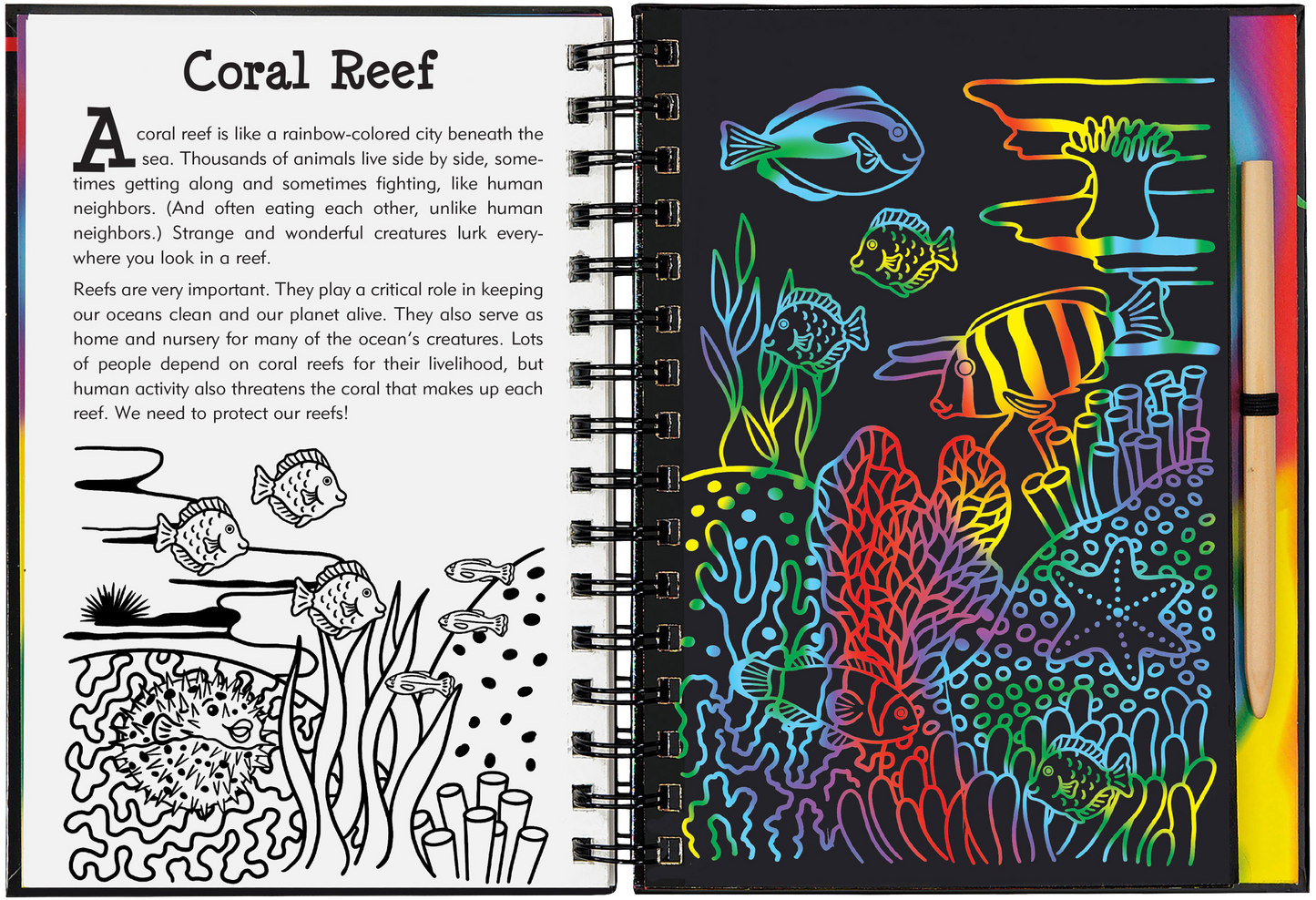 Peter Pauper Press - Coral Reefs Scratch and Sketch