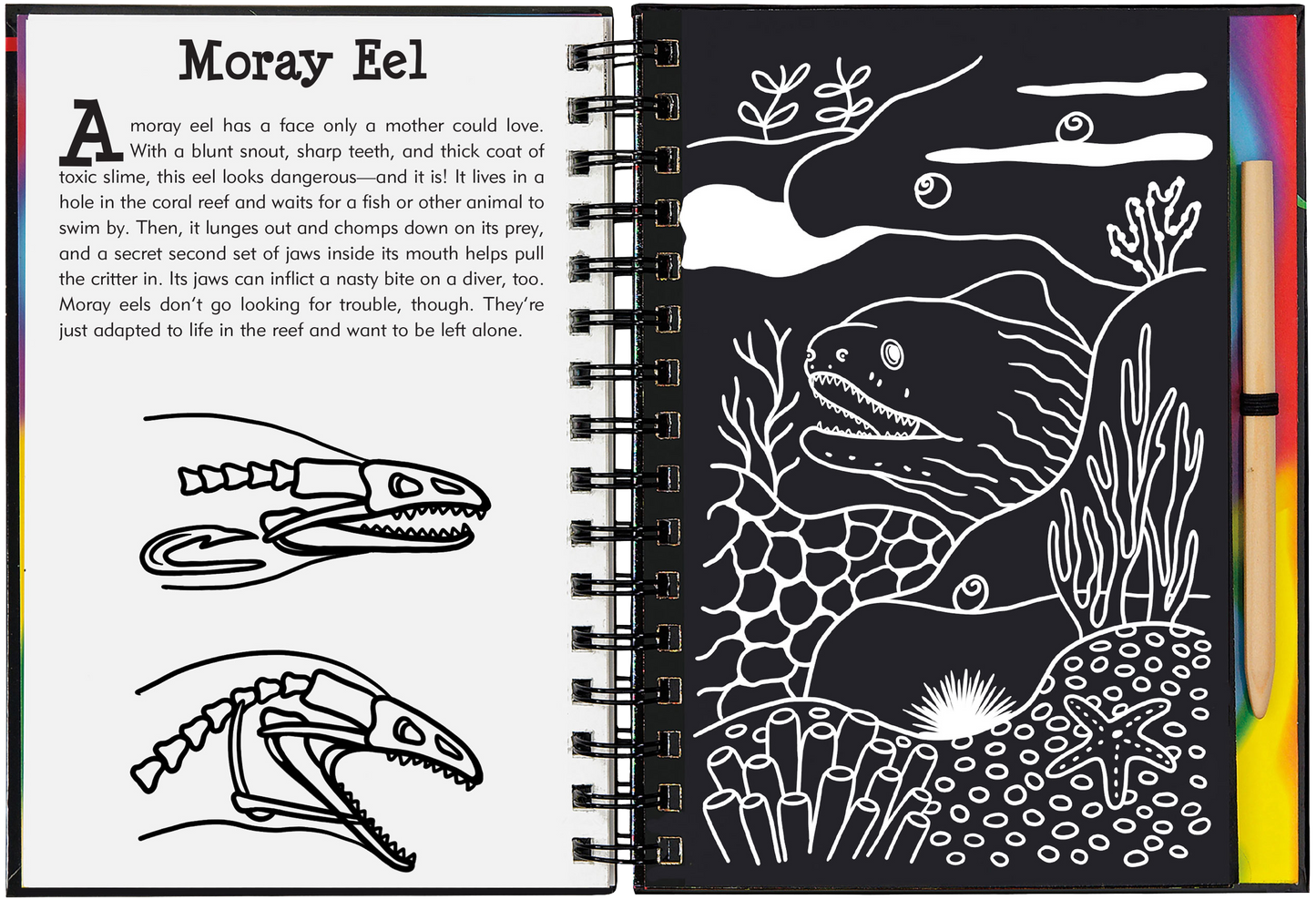 Peter Pauper Press - Coral Reefs Scratch and Sketch