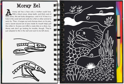 Peter Pauper Press - Coral Reefs Scratch and Sketch