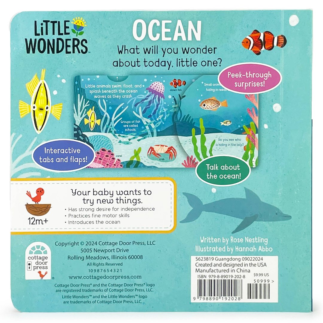 ocean themed board book