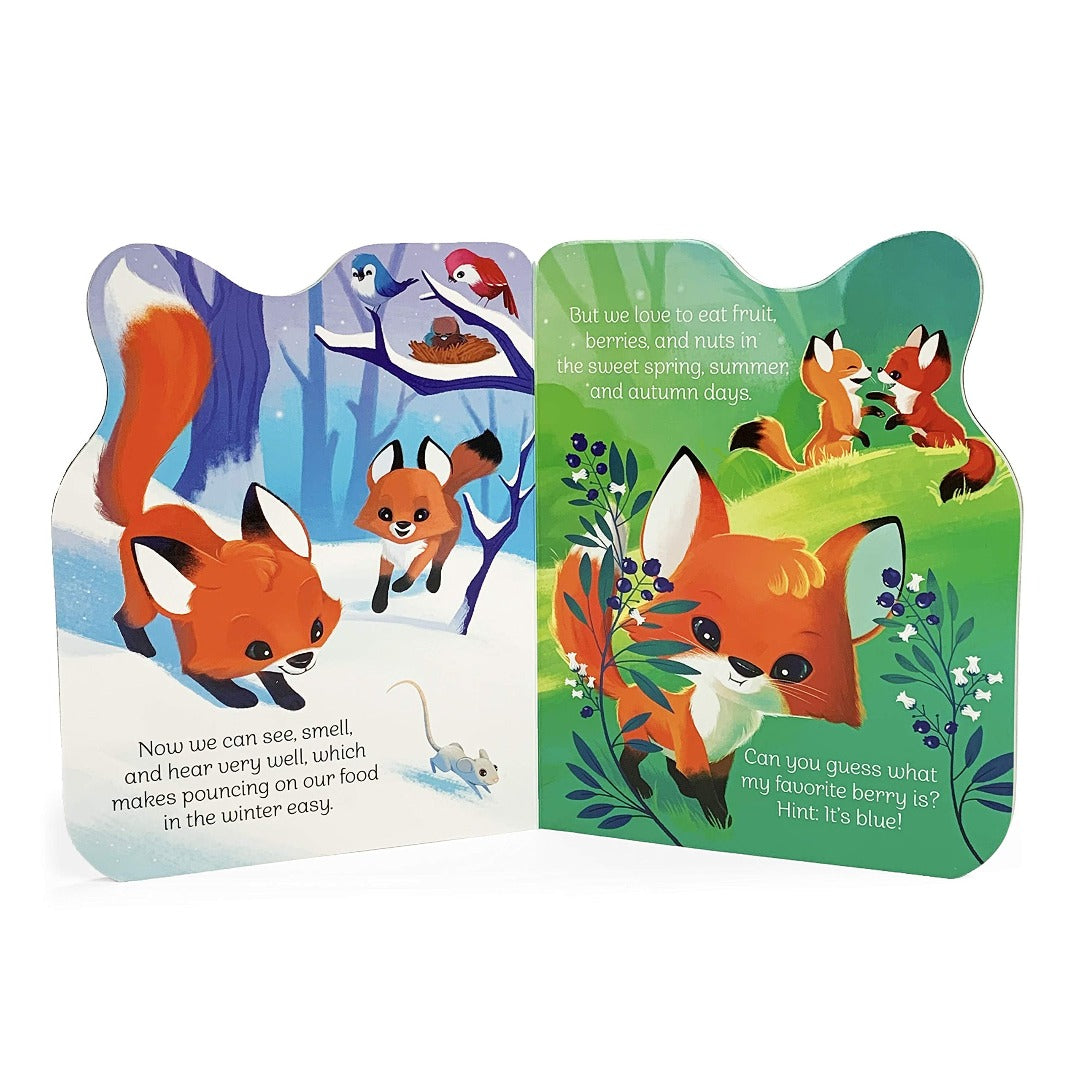 foxes playing on the hill and foxes playing in the snow forest