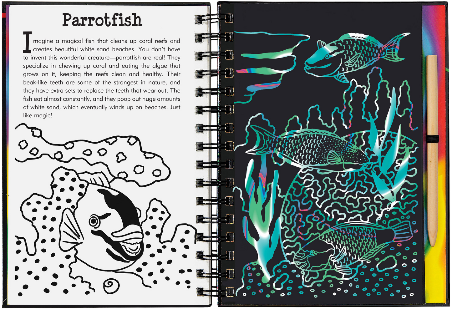 Peter Pauper Press - Coral Reefs Scratch and Sketch