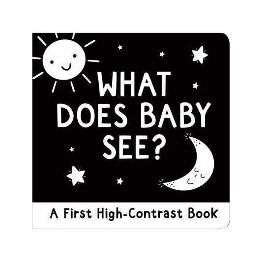 what does a baby see book cover