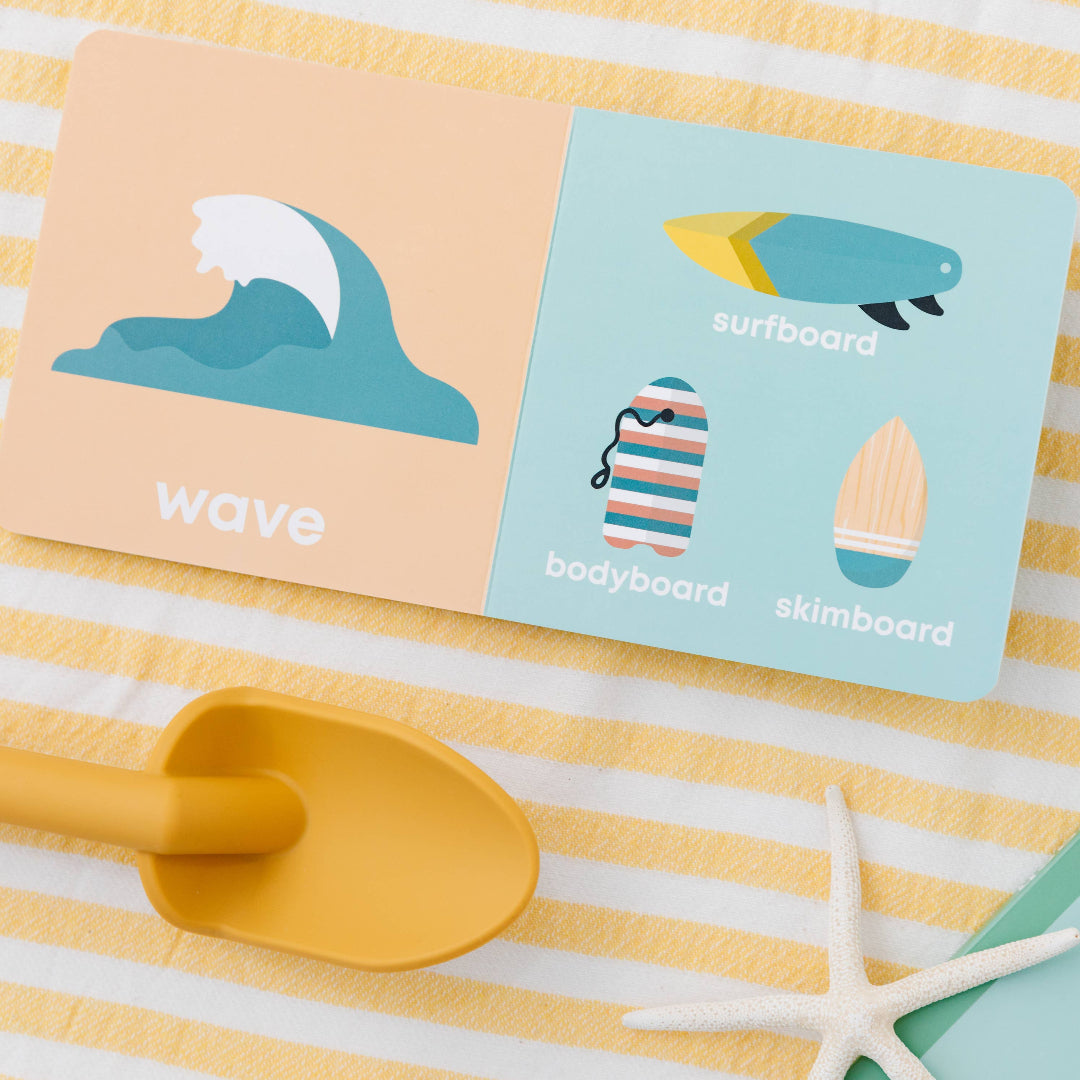 Educational cards about wave, surfboard, bodyboard, and skimboard on a striped background with a sandal and starfish.