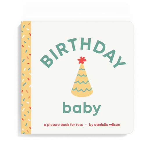 Book cover of 'Birthday Baby' by Danielle Wilson with a party hat illustration on a white background.