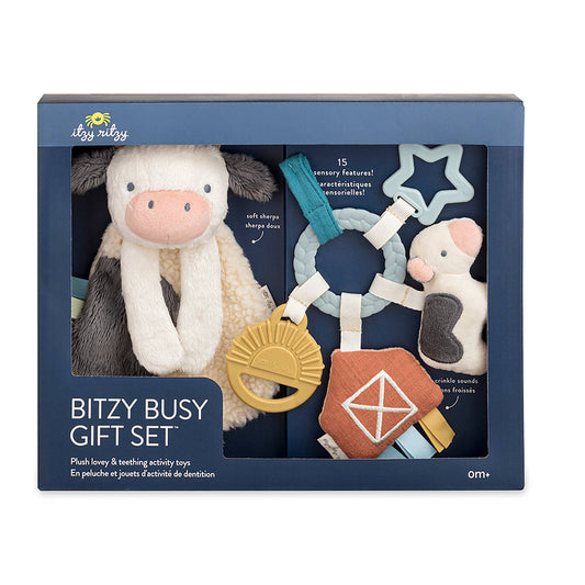 gift set of 2 baby teether toys