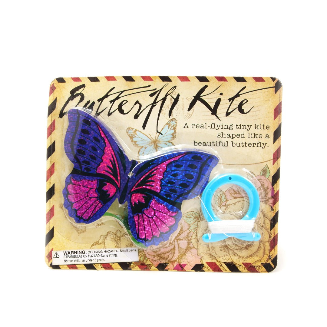small pink and blue buttefly kite