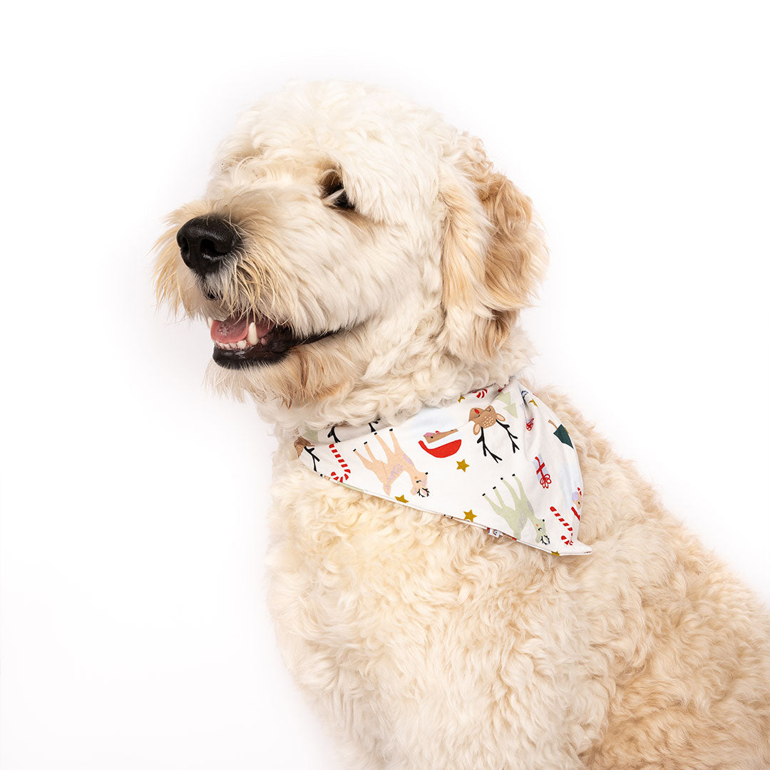 Friends best sale dog bandana