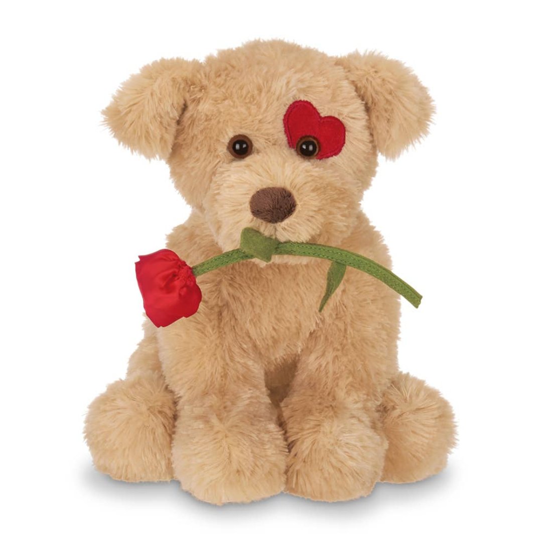 brown dog with a heart patch on his eye and holding a rose in his mouth