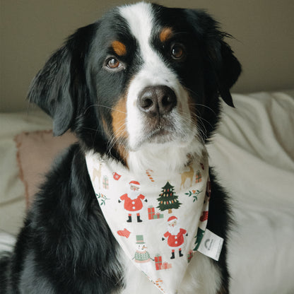 Dog poses in Cozy Christmas bamboo pet bandana, perfect for matching family holiday pajamas and festive photos.