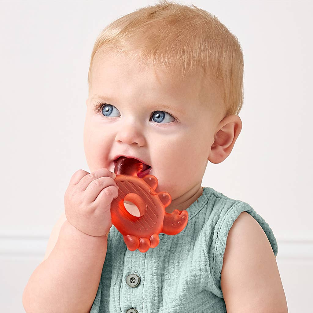 Baby holding a red teething toy against a plain background