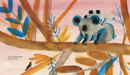 Chronicle Books - Our Love